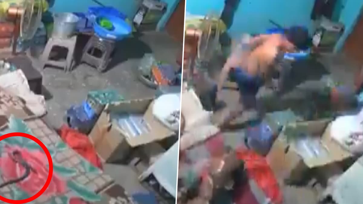 Viral Video: தூங்கிக்கொண்டிருந்த வாலிபர் பாம்பு கடித்து பலி.. அதிர்ச்சிகர சிசிடிவி காட்சி உள்ளே..!