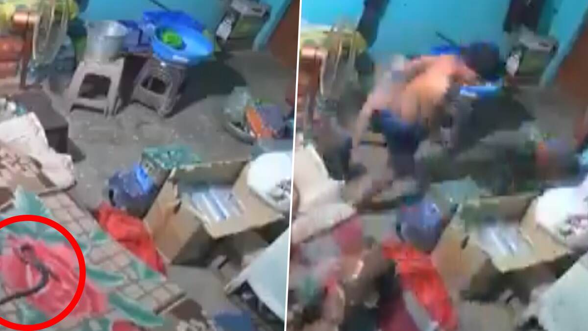 Viral Video: தூங்கிக்கொண்டிருந்த வாலிபர் பாம்பு கடித்து பலி.. அதிர்ச்சிகர சிசிடிவி காட்சி உள்ளே..!