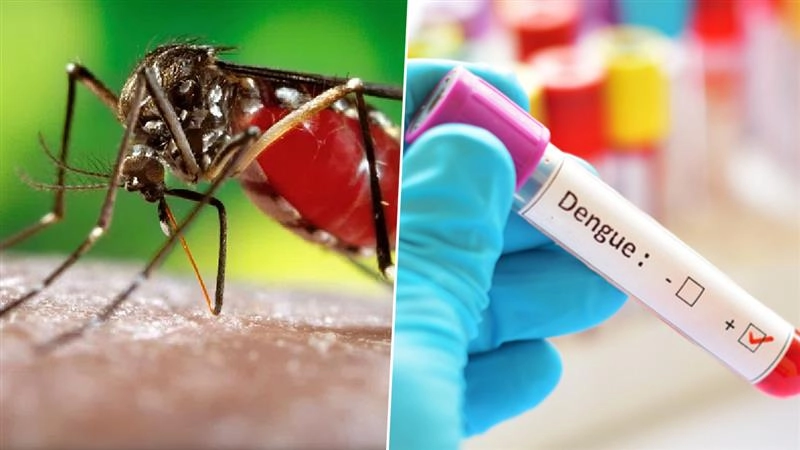 Dengue Fever: டெங்கு & இன்ஃப்ளூயன்சா காய்ச்சல் பரவல்.. அறிகுறிகளும், தடுப்பு நடவடிக்கைகளும்.. மழைக்கால எச்சரிக்கை.!