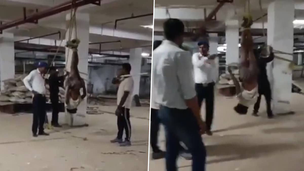Viral Video: தொழிலாளியை தலைகீழாக தொங்கவிட்டு தாக்கிய கொடூரம்.. வைரலான வீடியோவால் பரபரப்பு..!