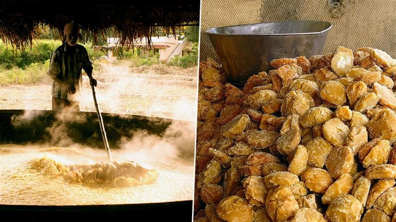 Jaggery Benefits: வெல்லம் சாப்பிடுவதால் ஏற்படும் நன்மைகள்.. தெரிஞ்சிக்கோங்க இனி சுகரே வாங்க மாட்டிங்க.!