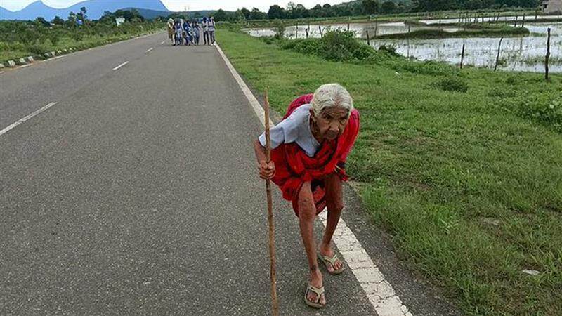 Trending Video: ரேபிஸ் தடுப்பூசிக்காக 20 கி.மீ கால் கடுக்க நடந்த 95 வயது மூதாட்டி.!