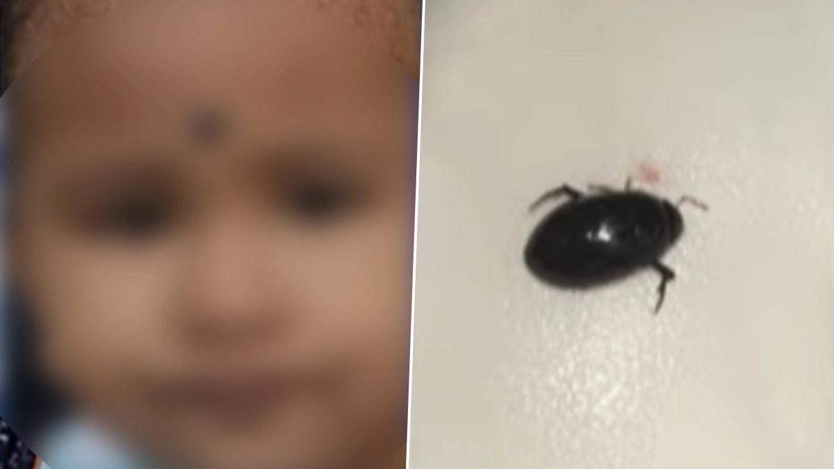Tiruvallur News: மூச்சுக்குழாயில் வண்டு கடித்து ஒரு வயது குழந்தை பரிதாப பலி.. பெற்றோர் பரிதவிப்பு..!