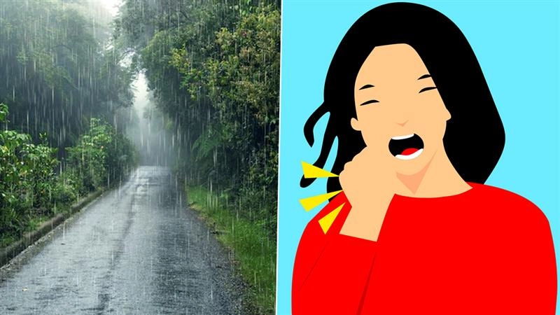 Health Tips: மழைக்காலத்தில் நோயெதிர்ப்பு சக்தி அதிகரிக்க வேண்டுமா? காய்ச்சல் விட்டு ஓடணுமா? டிப்ஸ் உள்ளே.!