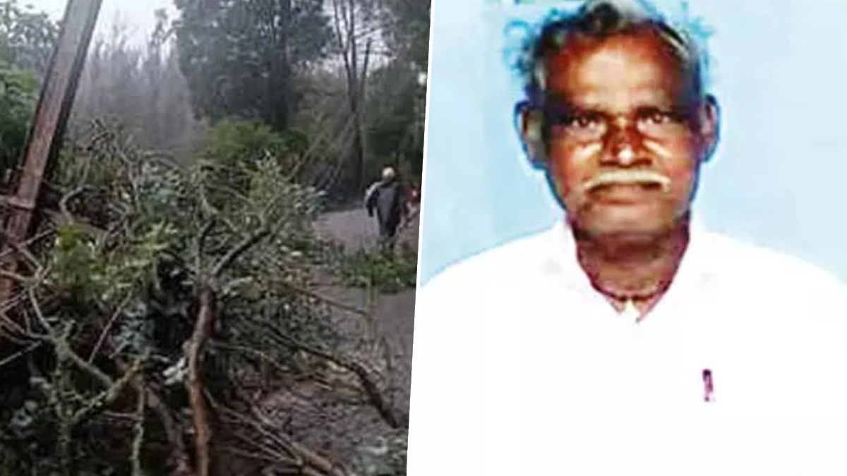 Cuddalore: மின்கம்பி அறுந்து விழுந்து பறிபோன 3 உயிர்கள்.. கடலூரில் மழையினால் துயரம்.!