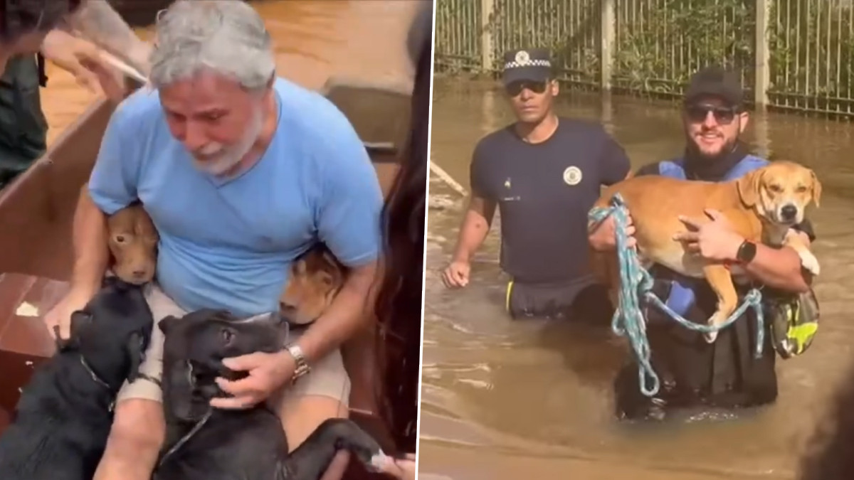 Dogs Reunion with Their Owner: வெள்ளத்தில் சிக்கித்தவிக்கும் பிரேசில்; 83 பேர் பலி., உரிமையாளர்களுடன் மீட்கப்படும் செல்லப்பிராணிகள்.!