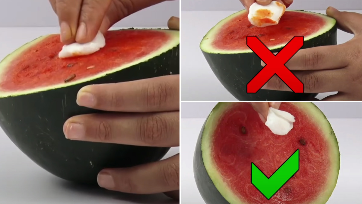 Adulteration in Watermelon: தர்பூசணியில் சாய கலப்படத்தை எப்படி தெரிந்துகொள்வது?.. சிம்பிள் டிப்ஸ் இதோ.!