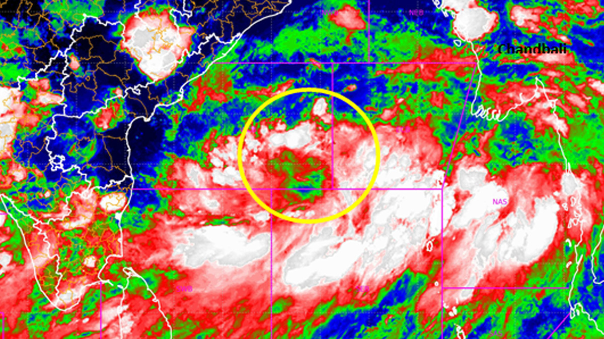 Cyclone Remal Live Tracker on Windy.com: ரிமால் புயலின் நகர்வுகளை நேரடியாக கண்காணிப்பது எப்படி?.. முழு விபரம் உள்ளே.!