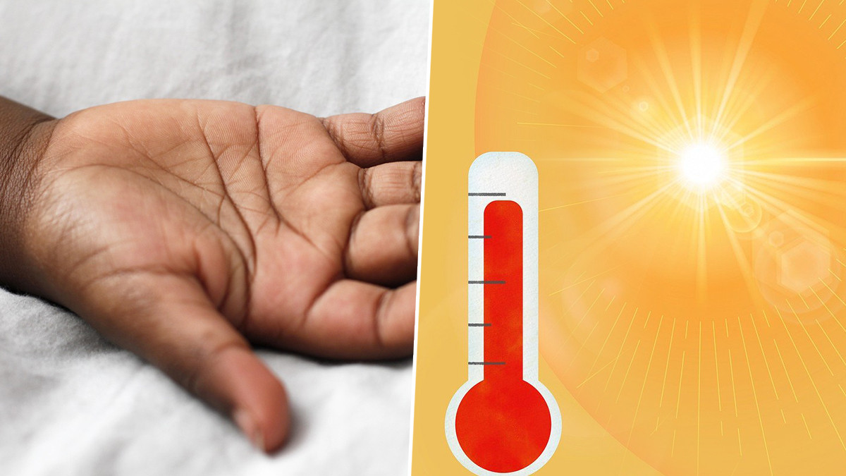 Bihar Heatwave Death: பீகாரை வாட்டி வதைக்கும் வெப்ப அலை; தேர்தல் பணியாளர்கள் உட்பட 19 பேர் பரிதாப பலி.!