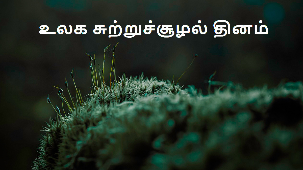 World Environment Day 2024: 