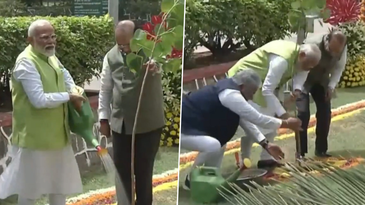 Ek Ped Maa Ke Naam: 