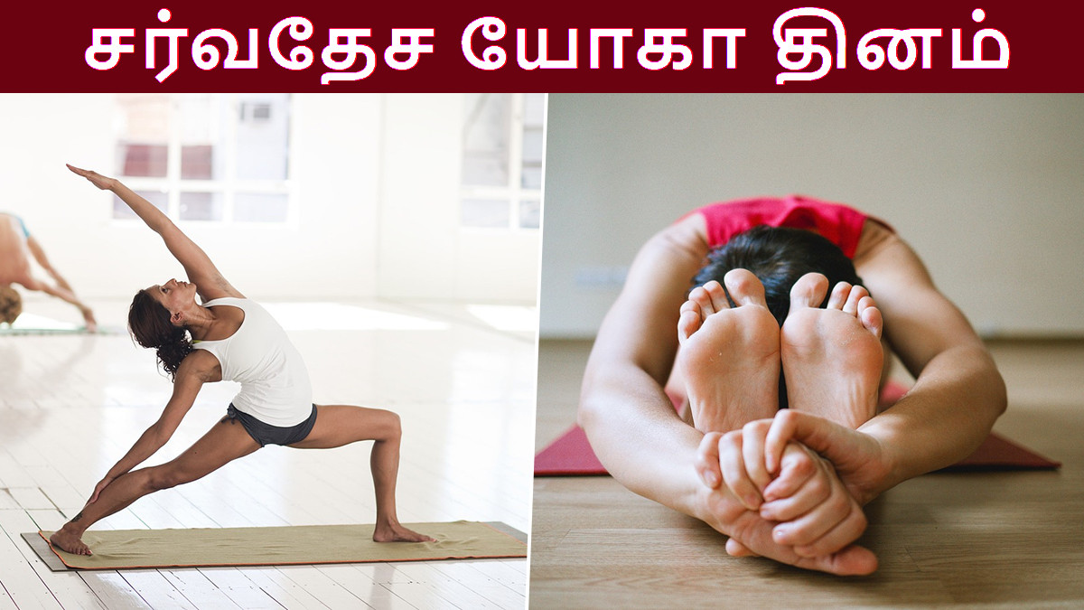 International Yoga Day: சர்வதேச யோகா தினம் 2024; யோகாவின் ஆரோக்கிய நன்மைகள்.. உடலும்-மனமும் ஒருசேர கொண்டாடுங்கள்.!