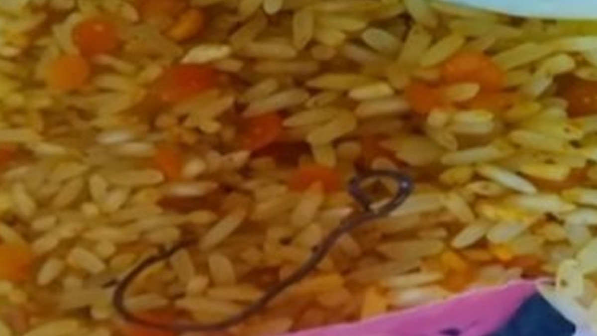 Snake Found In Food: தாய்மார்க்கு கொடுக்கப்பட்ட ஊட்டச்சத்து தானியத்தில் கிடந்த பாம்பு.. பீதியை கிளப்பும் அடுத்தடுத்த குற்றச்சாட்டுகள்..!