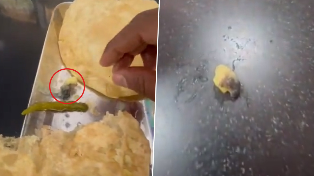 Worm In Puri Curry: பூரி மசாலாவில் கடந்த புழு.. பீதியை கிளப்பும் அடுத்தடுத்த குற்றச்சாட்டுகள்..!