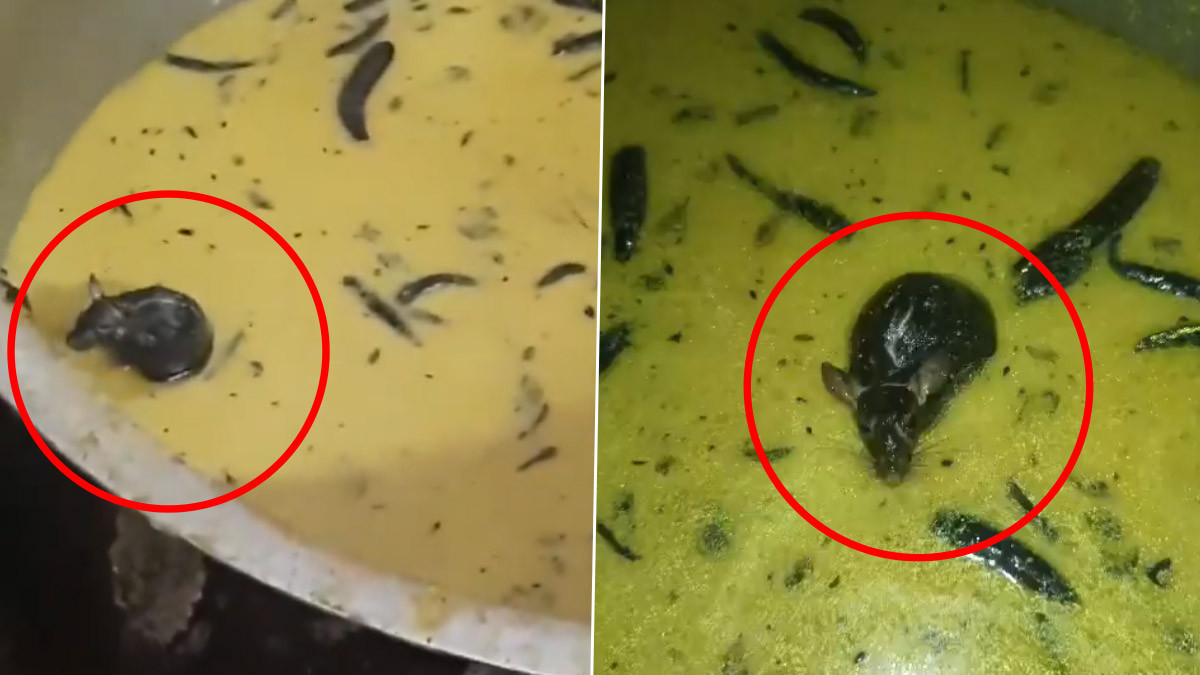 Live Rat Found In Chutney: சட்னியில் மிதந்த உயிருள்ள எலி.. பீதியை கிளப்பும் அடுத்தடுத்த குற்றச்சாட்டுகள்..!
