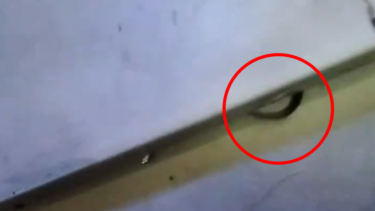 Snake Found on Passenger Train: வாலை காட்டி ஆட்டிய பாம்பு; நடுநடுங்கிப்போன பயணிகள்.. இரயில் பயணத்தில் நடந்த சம்பவம்.!