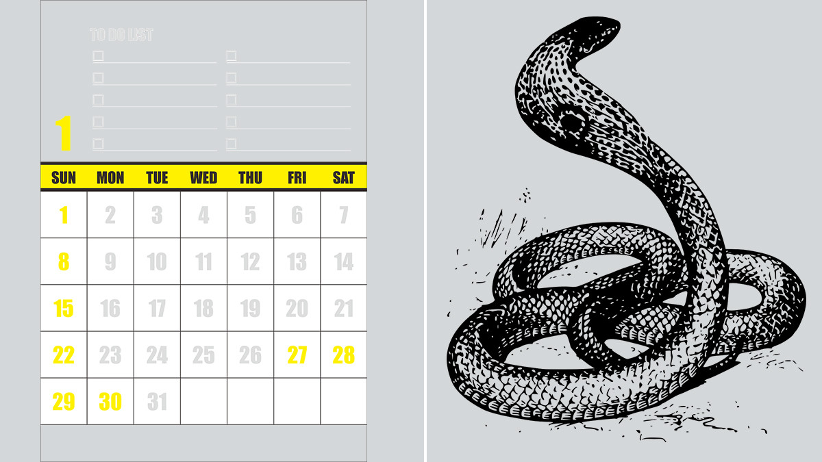Snake Bites Young Man on 7th Time: 40 நாட்களில் 7 முறை கடித்த பாம்பு; விடாது கருப்பாக துரத்தித்துரத்தி தாக்குதல்.. ஊசலாடும் உயிர்.!
