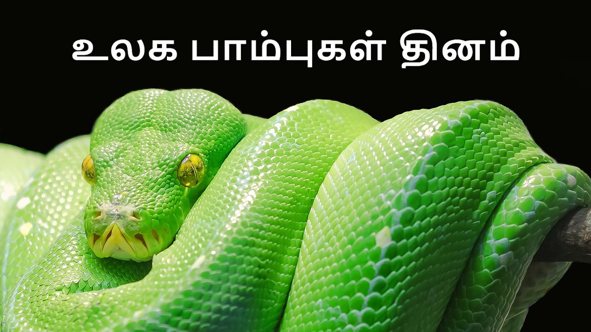 World Snake Day 2024: பாம்புகள் பழி தீர்க்குமா? உலக பாம்புகள் தினம்..!