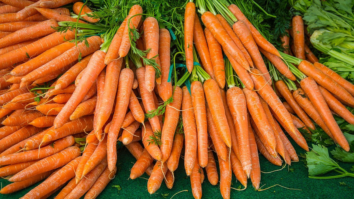 Carrot Benefits: தினமும் கேரட்டை சாப்பிடுவதால் கிடைக்கும் நன்மைகள் என்னென்ன..?