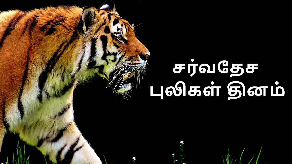 International Tiger Day 2024: 