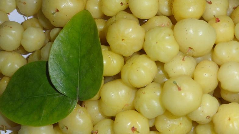 Amla Juice Recipe: ஆரோக்கியத்திற்கு அற்புதம் செய்யும் அரை நெல்லிக்காய் ஜூஸ் செய்வது எப்படி? விபரம் உள்ளே!
