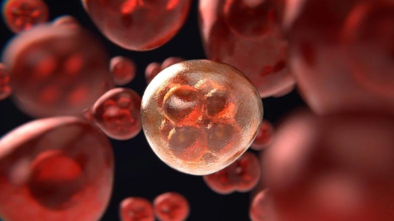 Cancer in India: புற்றுநோய்க்கு காரணமாகும் பழக்கங்கள்; இந்தியாவில் தலை, கழுத்து புற்றுநோய் அதிகரிப்பு.!