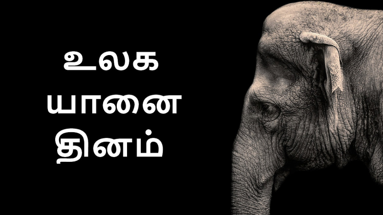 World Elephant Day 2024: 