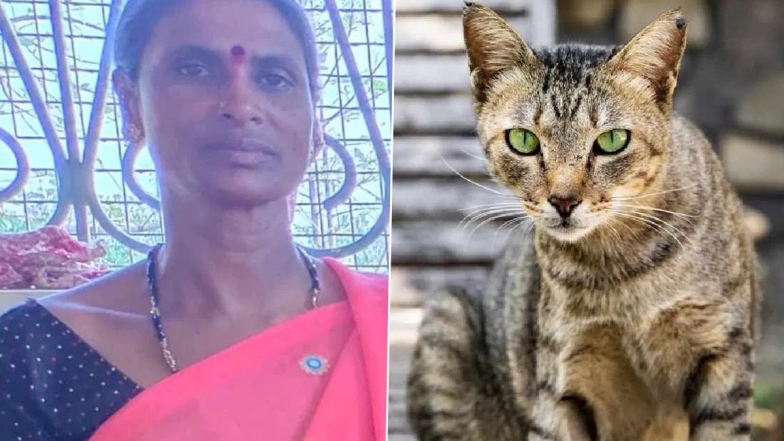 Woman Killed By Cat Bite: பூனை கடித்து 50 வயது பெண்மணி பரிதாப பலி; காரணம் என்ன?.. அலட்சியம் வேண்டாம்..!
