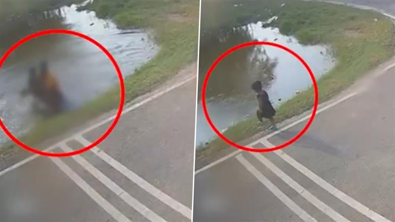 Shocking Video: தண்ணீரில் தவறி விழுந்த கைக்குழந்தை.. நொடியில் தெய்வம் போல வந்து காப்பாற்றிய இளைஞர்.. குவியும் பாராட்டுக்கள்.!